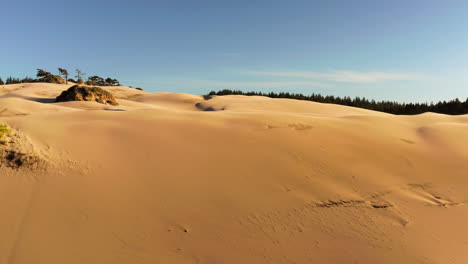 Dolly-in-drone-shot-of-sandy-dunes-with-green-trees-in-the-background