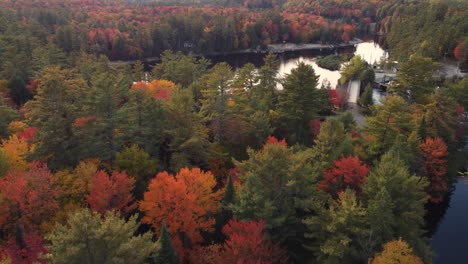 Flying-over-autumn-foliage,-revealing-a-waterfall-in-middle-of-forest-in-Canada---tilt,-drone-shot