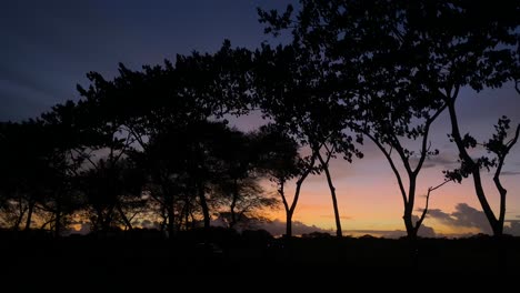 Establisher-pan-shot-of-silhouetted-trees-against-orange-blue-sky-at-dusk
