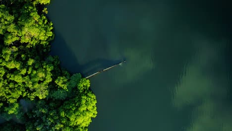 Fast-spinning-aerial-top-down-shot-of-rusty-leaking-pipe-running-into-lake-surrounded-by-mangroves,-dumping-sewage