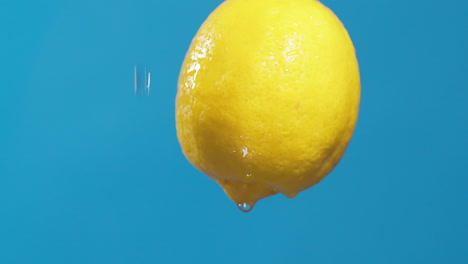 Water-drops-flowing-from-a-whole-sour-and-fresh-lemon-down-on-a-blue-background,-fruit-for-fresh-and-natural-juice,-cold-diet-drink-with-vitamin-c