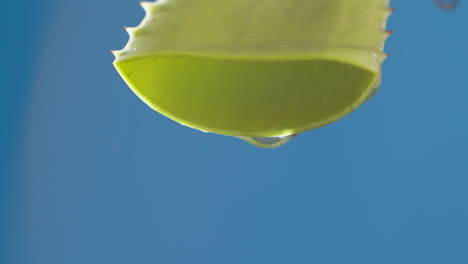 Reine-Wassertropfen-Und-Ströme-Zu-Grüner-Aloe-Vera-Auf-Blauem-Hintergrund