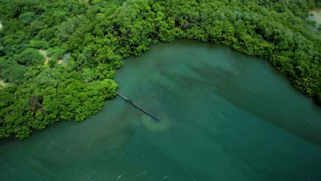 Wide-aerial-shot-of-rusty-leaking-pipe-running-into-lake-surrounded-by-mangroves,-dumping-sewage