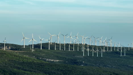 Establisher-aerial-drone-view-of-many-windmills-on-green-brush-landscape