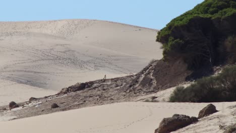 Die-Sanddünen-In-Andalusien-In-Spanien-In-4K-Auflösung