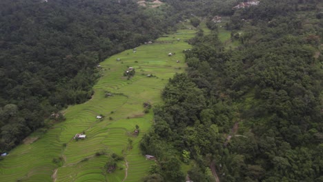Aerial-shot-of-mist-covering-the-framing-fields-in-Nagaland-hills