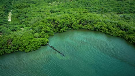 Revealing-aerial-shot-of-rusty-leaking-pipe-running-into-lake-surrounded-by-mangroves,-dumping-sewage