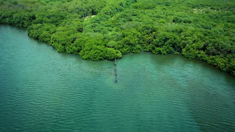 Revealing-aerial-shot-of-rusty-leaking-pipe-running-into-lake-surrounded-by-mangroves,-dumping-sewage