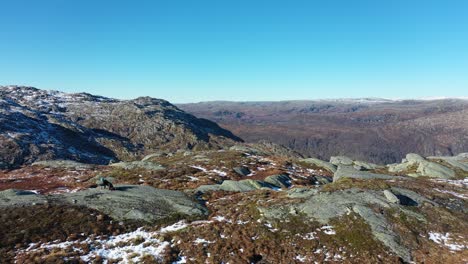 Landschaftsfotograf-In-Norwegen-Herbstbergwandern-Und-Sich-Auf-Einen-Felsen-Legen,-Um-Ein-Foto-Mit-Einem-Telezoom-Objektiv-Zu-Machen---Statisch
