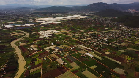 Aerial-forward-view-of-agricultural-area.-Vietnam