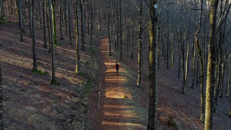 man-running-and-practicing-trail-running-through-the-forest-in-winter