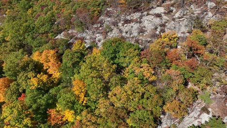 Eine-Luftaufnahme-über-Den-Bergen-Im-Hinterland-Von-Ny,-Während-Sich-Das-Herbstlaub-An-Einem-Schönen-Tag-ändert