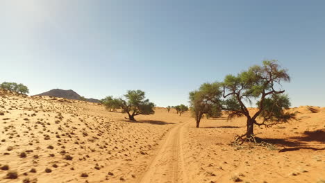 Pista-Todoterreno-A-Través-Del-Desierto-De-Namibia