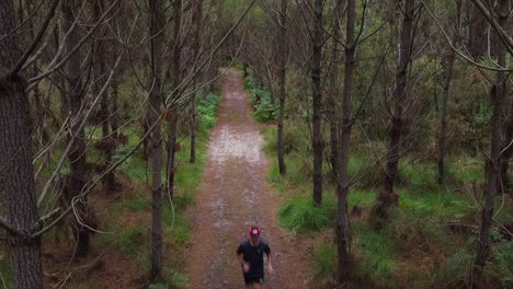 man-running-and-practicing-trail-running-through-the-forest