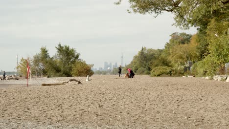 Playas-De-Toronto,-Telón-De-Fondo-De-La-Ciudad-Con-Gente-Paseando-Perros