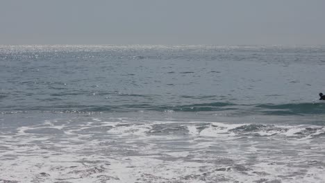 Man-Surfer-Paddelt,-Um-Zu-Versuchen,-Bei-Sonnenaufgang-Eine-Kleine-Welle-Im-Ozean-Zu-Fangen