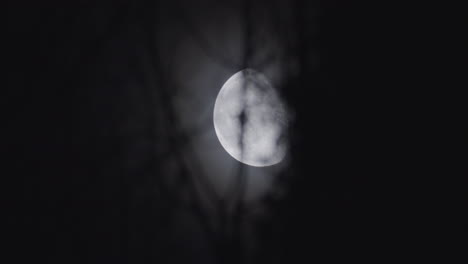 Glowing-moon-crossing-dark-sky-through-Tree-branches-blurred-silhouette,-Telephoto-shot