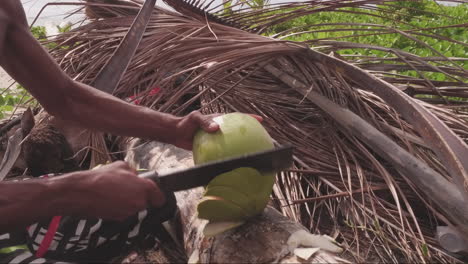 Un-Hombre-Preparando-Un-Coco-En-La-Playa
