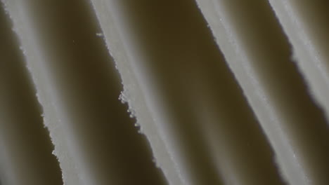 Clip-De-Microscopía-De-Dispersión-De-Esporas-De-Primera-Calidad
