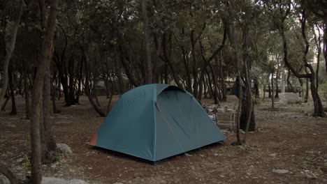 Tent-in-forest-campsite,-wide-shot.-medium-shot