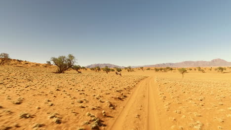 Running-Gnu-in-the-desert-of-Namibia