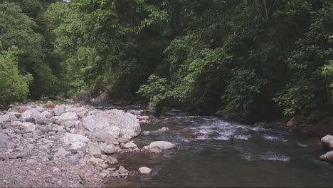 Río-En-La-Selva-De-Sumatra