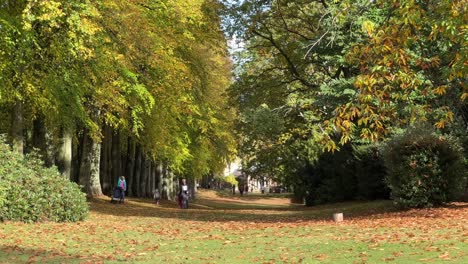 Distant-people-walking,-strolling-through-tree-lined-parkland-with-fallen-leaves-and-short-grass-on-an-autumn-morning