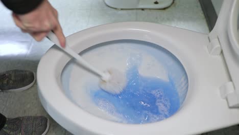 Scrubbing-a-Toilet-with-a-Toilet-Wand-and-Bowl-Cleaner