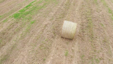Drone-fly-over-agricultural-field-in-rural-village-filming-rolls-of-hay-with-golden-leafs-and-straw-rolls