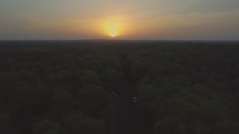 Aerial-Drone-shot-of-Road-through-a-forest-at-time-of-sunrise-in-Kuno-National-Park