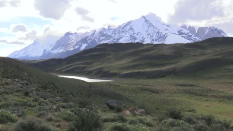 Un-Puma-Recostado-Sobre-La-Exuberante-Hierba-Verde-De-Torres-Del-Paine,-Patagonia-Con-Montañas-Nevadas-En-El-Fondo---Plano-Amplio