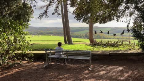 Young-boy-sat-on-a-garden-bench-looking-out-over-the-countryside-surrounded-by-trees-with-sheep-grazing,-sunlit-fields,-and-a-bird-sculpture