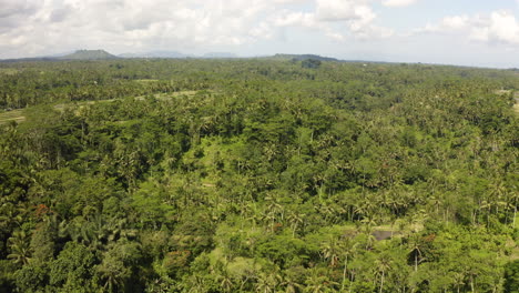 Flyover-Filmmaterial-Des-Dschungelwaldes-Von-Bali,-Indonesien
