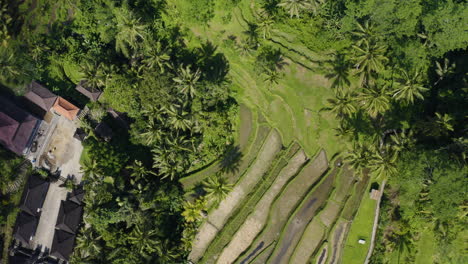 Blick-Von-Oben-Auf-Den-Gunung-Kawi-Tempel-Auf-Bali,-Indonesien