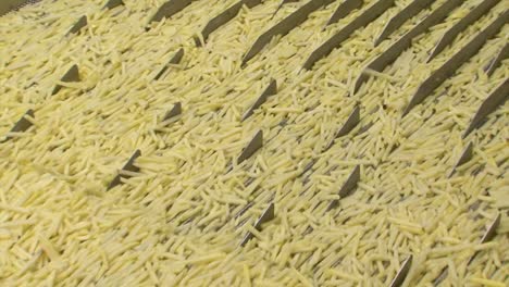 close-up-of-french-fries-being-transported-on-a-conveyor-line-in-a-food-factory