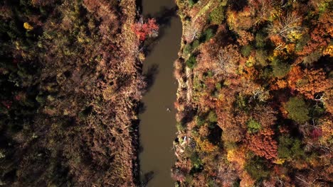 Drone,-top-down,-birds-eye-view,-aerial-pedestal-up-movement-over-the-top-of-the-Rivanna-River-and-surrounding-forest-displaying-bright,-vibrant,-fall,-autumn-colors-in-Virginia,-USA