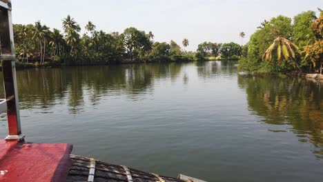 Wide-Shot-of-Palm-Trees-by-Waterway-taken-from-Traditional-Houseboat-at-Alappuzha,-Kerala,-India