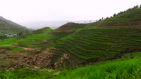 Campo-Verde-Entre-Montañas-En-Etiopía,-áfrica