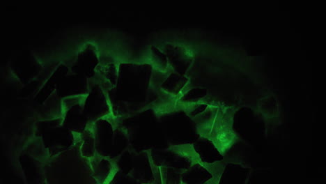 Bioluminescent-mycelium-growing-on-wood-chips-flashes-bright-occasionally---Panellus-stipticus