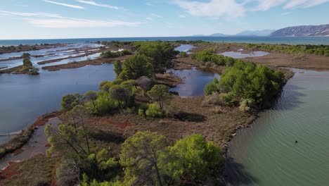Mangrove-trees-and-mud-surrounded-by-shallow-water-of-lagoon-near-Adriatic-sea-coastline-in-Albania