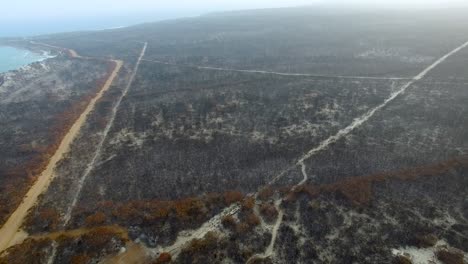 4k-slow-moving-wide-aerial-of-a-charred-Australian-landscape,-camera-slight-downwards-tilt