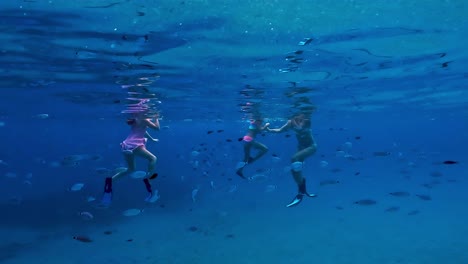 School-of-fish-swimming-close-to-girls-snorkeling-underwater-in-deep-blue-sea