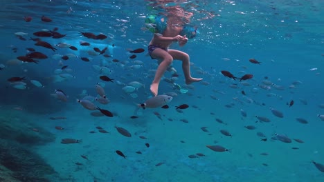 Underwater-view-of-little-boy-swimming-with-inflatable-armbands-in-middle-of-big-school-of-fish-in-deep-blue-water