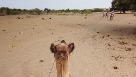 POV-of-Camel-trekking-through-Thar-Desert,-Jaisalmer,-Rajasthan,-India