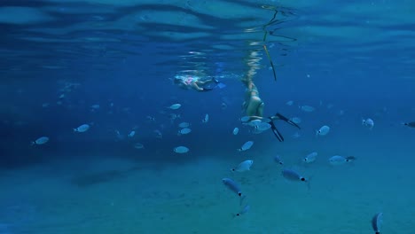 School-of-fish-swims-close-to-girls-snorkeling-underwater-in-deep-blue-sea