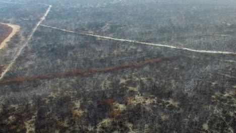 Slow-moving-aerial-of-a-charred-Australian-landscape,-camera-slight-upwards-tilt