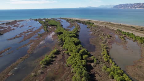 Natural-tidal-lagoon-with-mangrove-trees-surrounded-by-sand-belt-on-coast-of-Adriatic-sea-in-Albania