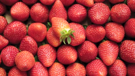 Zoom-shot-of-ripe-strawberries-in-the-box