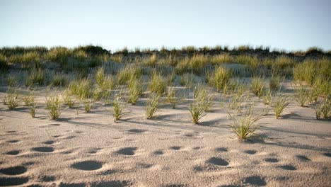Sandquecke-Und-Schatten,-Die-An-Einem-Strahlend-Blauen-Tag-Sanft-Im-Wind-Wehen