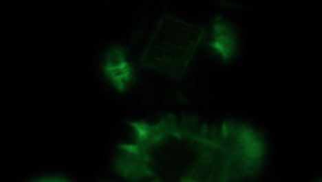 Das-Langsam-Verblassende-Biolumineszierende-Myzel-Leuchtet-In-Einem-Wunderschönen-Smaragdgrün